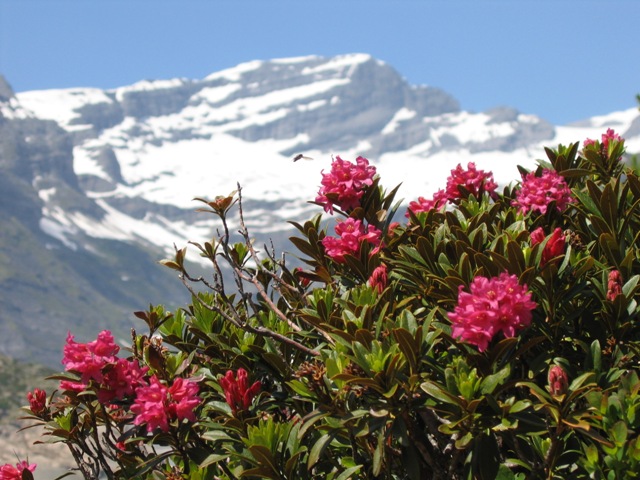 Emosson