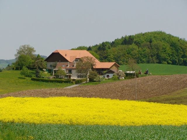 Signal de Grandvaux