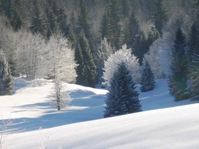 Bellecombe